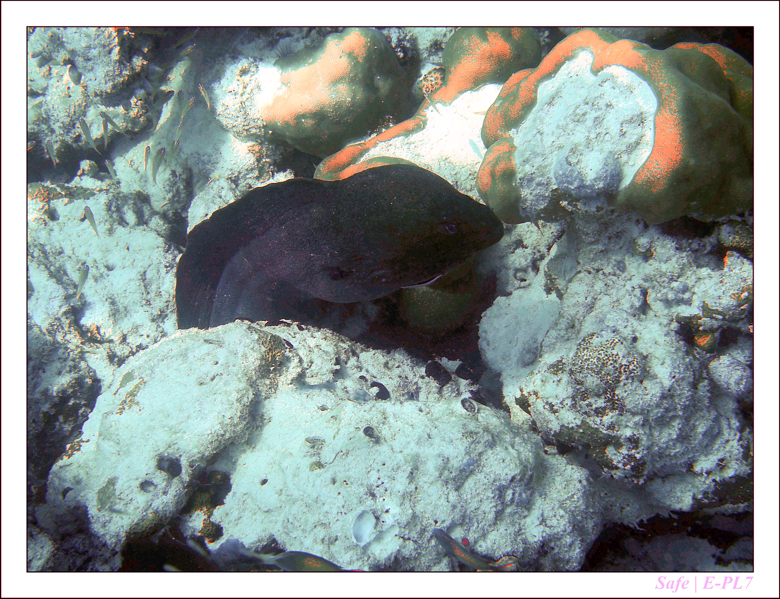 2019 - 07 - Snorkeling maldives - 31